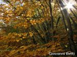 IMG_8932-q