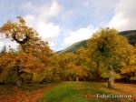 P_N_For_Cas_castagneti_di_Camaldoli_ph_fabio_liverani_01