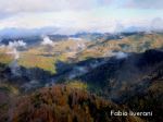 _1FL4390liverani