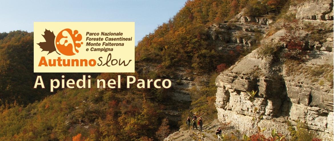 A_PIEDI_NEL_PARCO