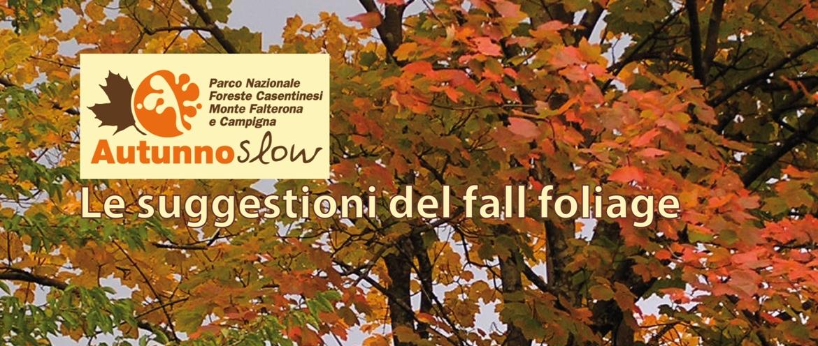 FALL_FOLIAGE