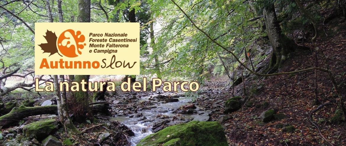 LA_NATURA_DEL_PARCO