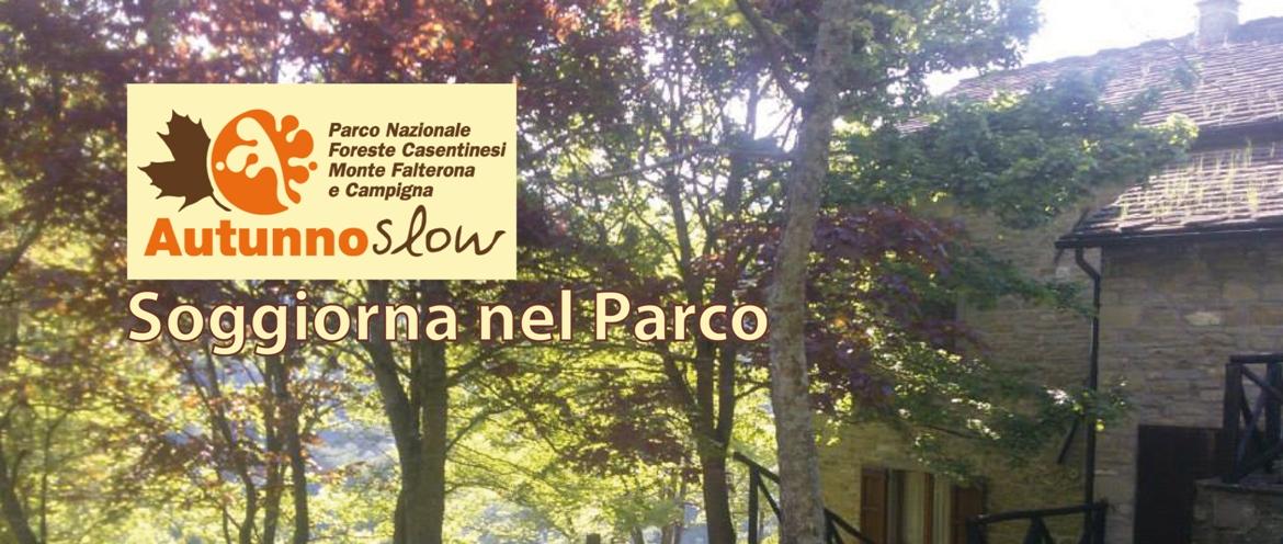 SOGGIORNI